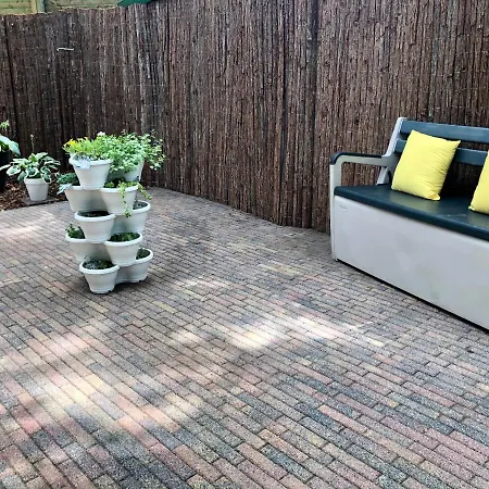 Chalet Retro Relax Midden In Het Bos Op De Veluwe In Putten