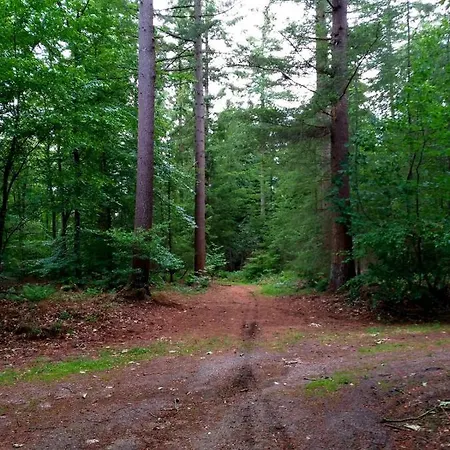 Retro Relax Midden In Het Bos Op De Veluwe In