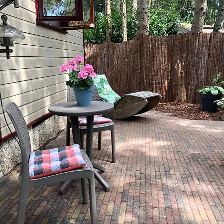 Retro Relax Midden In Het Bos Op De Veluwe In Chalet *