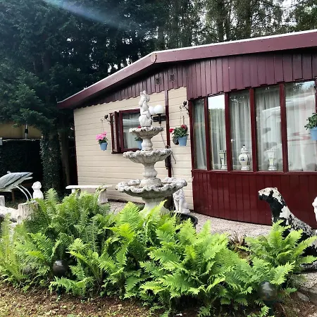 Retro Relax Midden In Het Bos Op De Veluwe In Putten
