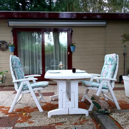 Chalet Retro Relax Midden In Het Bos Op De Veluwe In