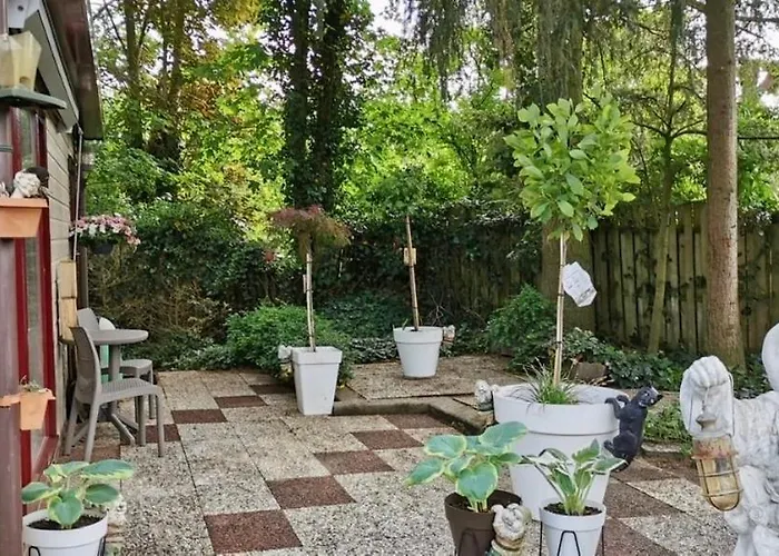 Chalet Retro Relax Midden In Het Bos Op De Veluwe In