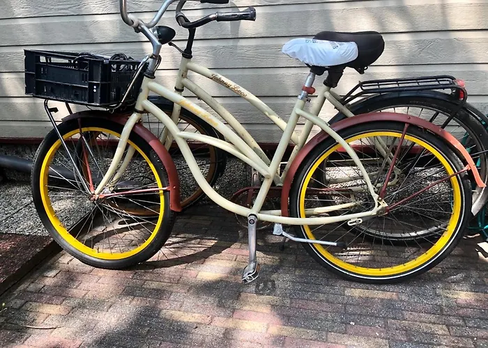 Retro Relax Midden In Het Bos Op De Veluwe In Chalet *