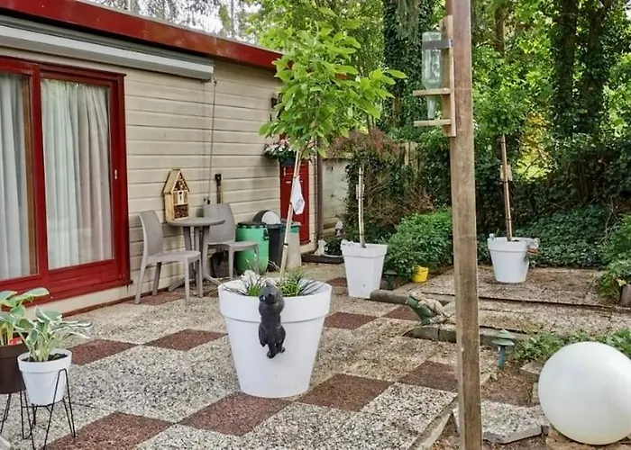 Retro Relax Midden In Het Bos Op De Veluwe In Chalet Putten