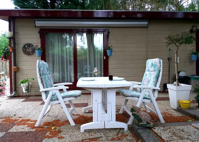 Chalet Retro Relax Midden In Het Bos Op De Veluwe In