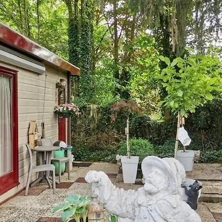 Retro Relax Midden In Het Bos Op De Veluwe In