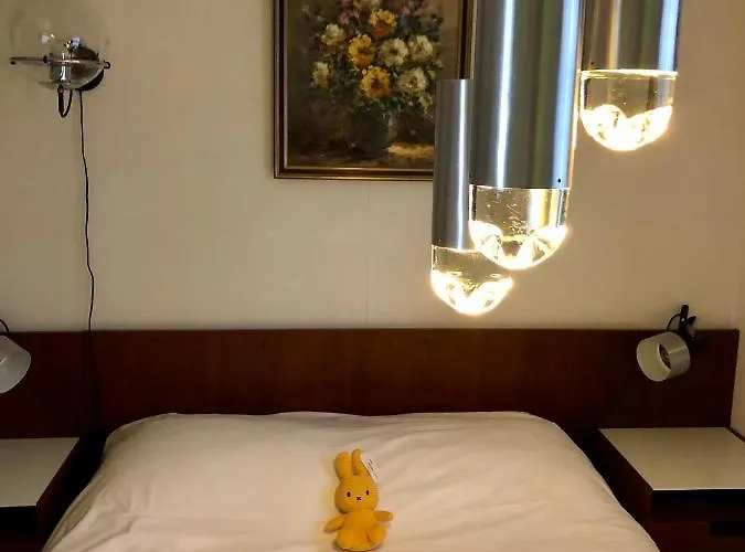 Retro Relax Midden In Het Bos Op De Veluwe In Chalet Putten