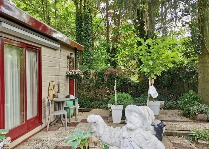 Retro Relax Midden In Het Bos Op De Veluwe In