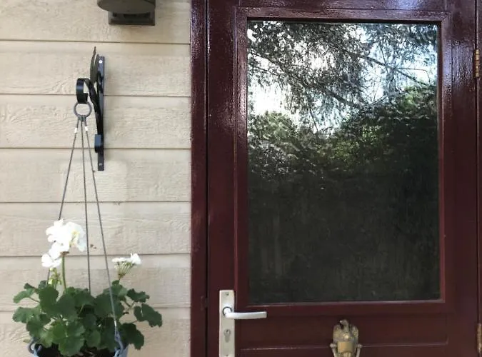 Retro Relax Midden In Het Bos Op De Veluwe In